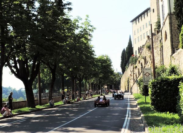 Immagine 8