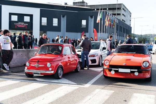 Immagine 4
