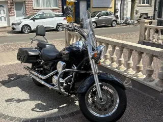 Foto 2 di 8: Kawasaki VN900 Classic | 2009 | Route 66 Auctions