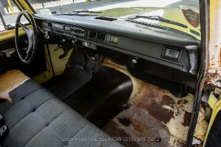 Foto 24 di 24: 1975 International Harvester Travelall