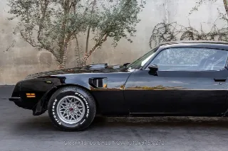 Foto 12 di 24: 1974 Pontiac Firebird Trans Am