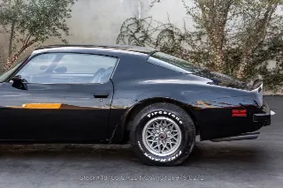 Foto 13 di 24: 1974 Pontiac Firebird Trans Am