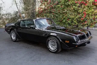 Foto 3 di 24: 1974 Pontiac Firebird Trans Am