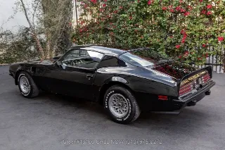 Foto 7 di 24: 1974 Pontiac Firebird Trans Am