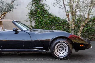 Foto 15 di 24: 1979 Chevrolet Corvette