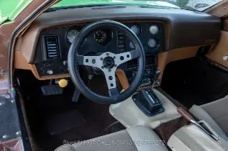 Foto 19 di 24: 1975 Bricklin SV1
