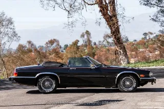 Foto 5 di 24: 1990 Jaguar XJS V12