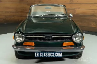 Foto 6 di 10: Triumph TR6