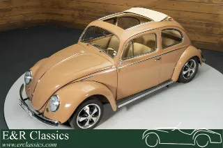 Foto 3 di 10: Volkswagen Beetle