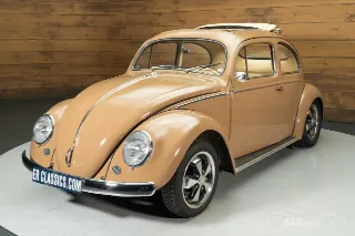 Foto 7 di 10: Volkswagen Beetle