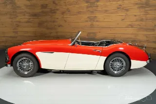 Foto 10 di 10: Austin Healey 100-6