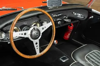 Foto 2 di 10: Austin Healey 100-6
