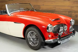 Foto 5 di 10: Austin Healey 100-6