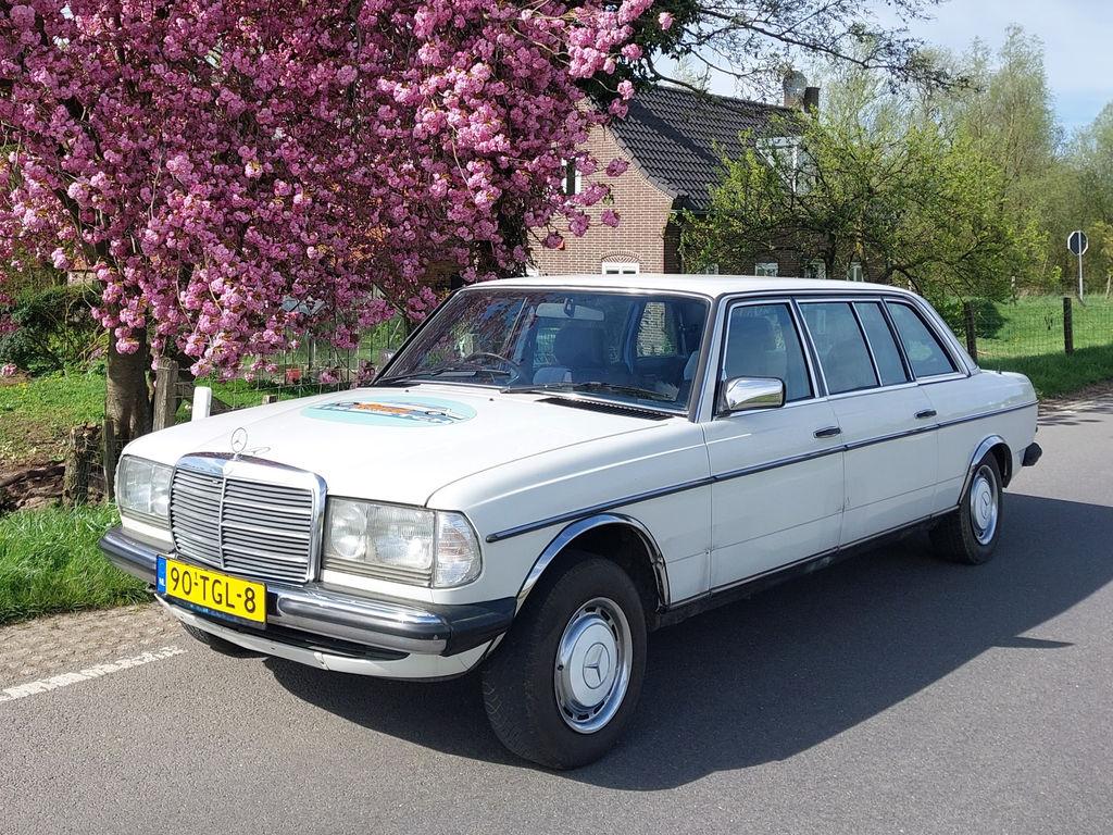 Mercedes-Benz 250 Pullman | 1984 | Route 66 Auctions