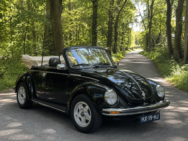 Volkswagen Beetle Cabriolet | 1976 | Route 66 Auctions