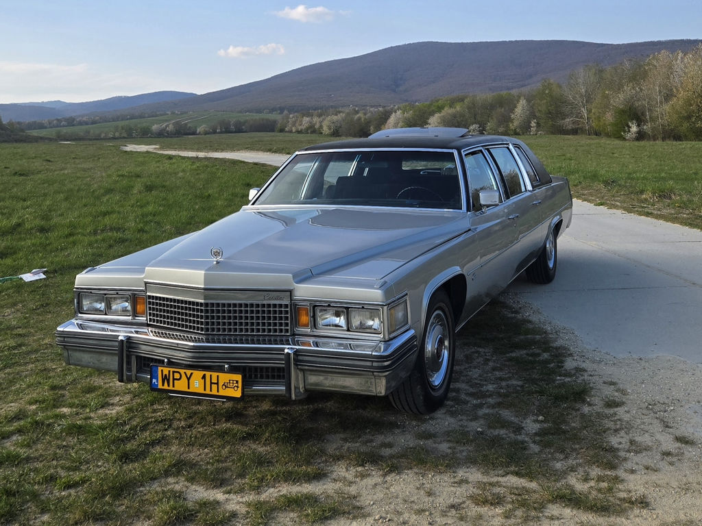 Cadillac Fleetwood Limousine | 1979 | Route 66 Auctions