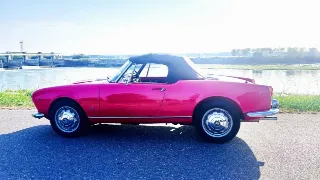Foto 7 di 8: Alfa Romeo Giulia Spider | 1962 | Route 66 Auctions