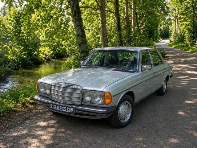 Mercedes-Benz 250 | 1978 | Route 66 Auctions