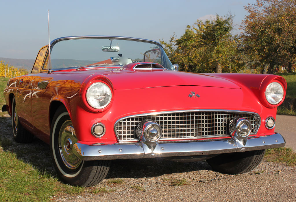 Ford Thunderbird | 1955 | Route 66 Auctions