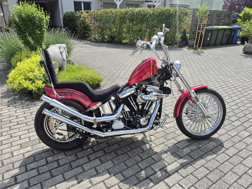 Harley-Davidson FXST | 1988 | Route 66 Auctions