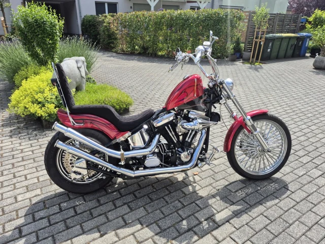 Harley-Davidson FXST | 1988 | Route 66 Auctions