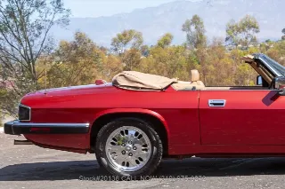 Foto 17 di 24: 1993 Jaguar XJS
