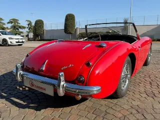 Foto 13 di 20: AUSTIN Healey