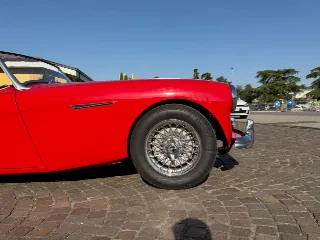 Foto 14 di 20: AUSTIN Healey