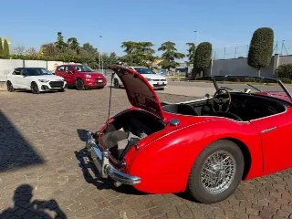 Foto 16 di 20: AUSTIN Healey