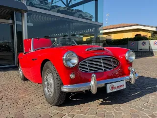 Foto 17 di 20: AUSTIN Healey