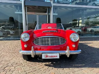 Foto 18 di 20: AUSTIN Healey