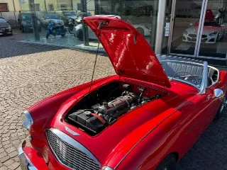 Foto 20 di 20: AUSTIN Healey