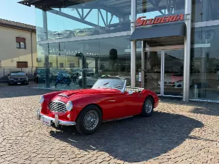 Foto 2 di 20: AUSTIN Healey