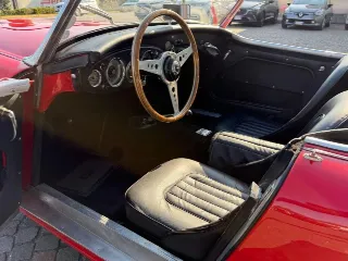 Foto 6 di 20: AUSTIN Healey