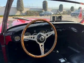 Foto 8 di 20: AUSTIN Healey