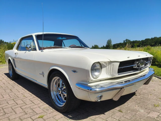 Ford Mustang | 1965 | Route 66 Auctions