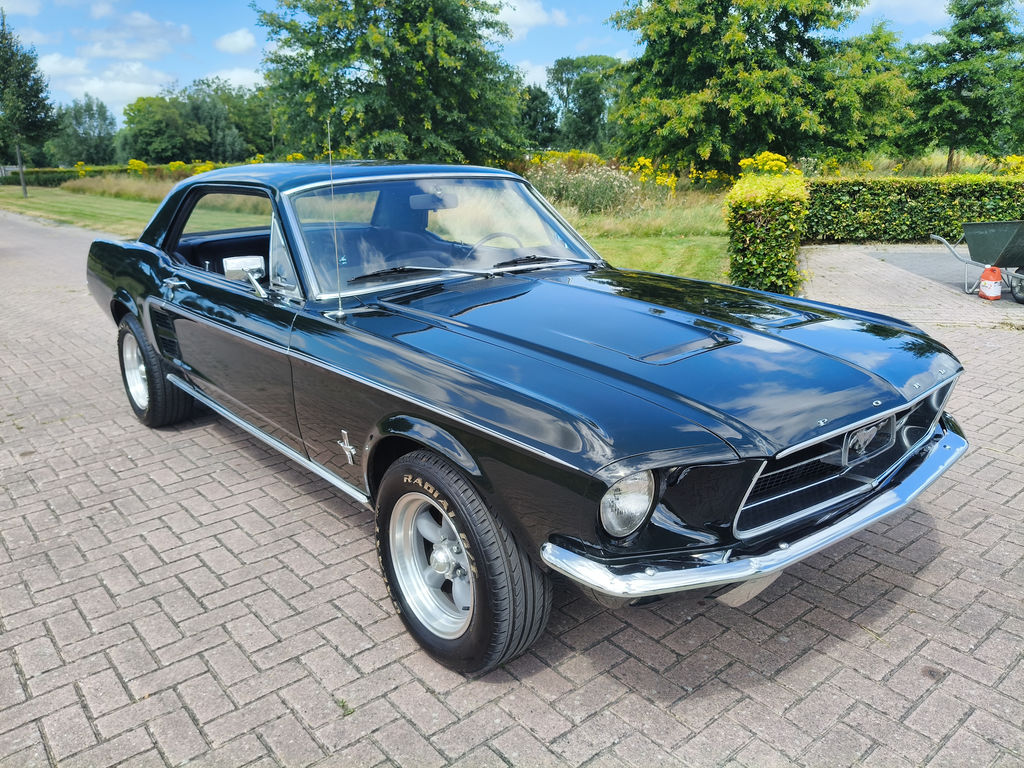 Ford Mustang | 1967 | Route 66 Auctions