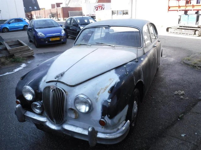 Jaguar