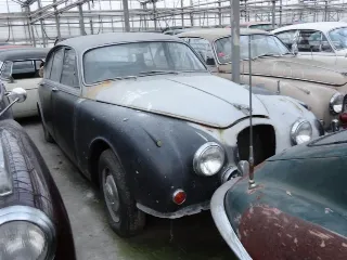 Photo 2 of 30: Jaguar