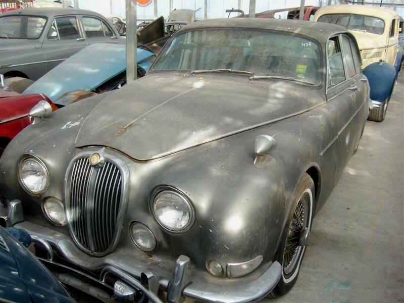 Jaguar