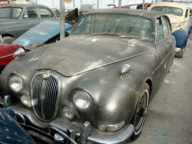 Jaguar