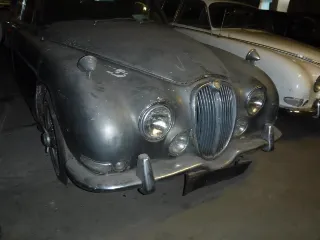 Photo 30 of 33: Jaguar