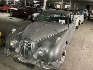 Photo 33 of 33: Jaguar