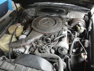 Foto 17 di 37: Mercedes
