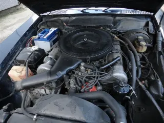 Foto 13 di 30: Mercedes
