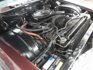 Foto 33 di 40: Cadillac