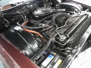 Foto 35 di 40: Cadillac