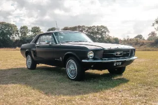 Foto 1 di 8: Ford Mustang | 1967 | Route 66 Auctions
