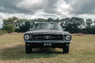 Foto 3 di 8: Ford Mustang | 1967 | Route 66 Auctions