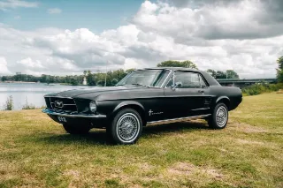 Foto 6 di 8: Ford Mustang | 1967 | Route 66 Auctions